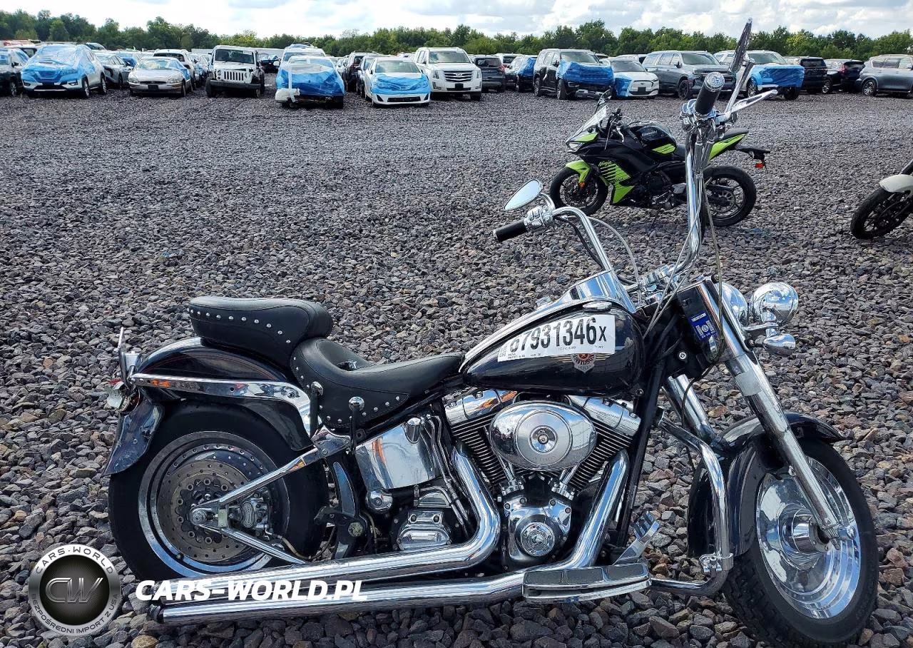 2000 Harley-Davidson Flstf – zdjęcie 1 z 9