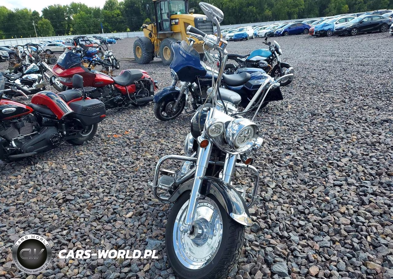 2000 Harley-Davidson Flstf VIN:1HD1BMY11YY064711 - 2