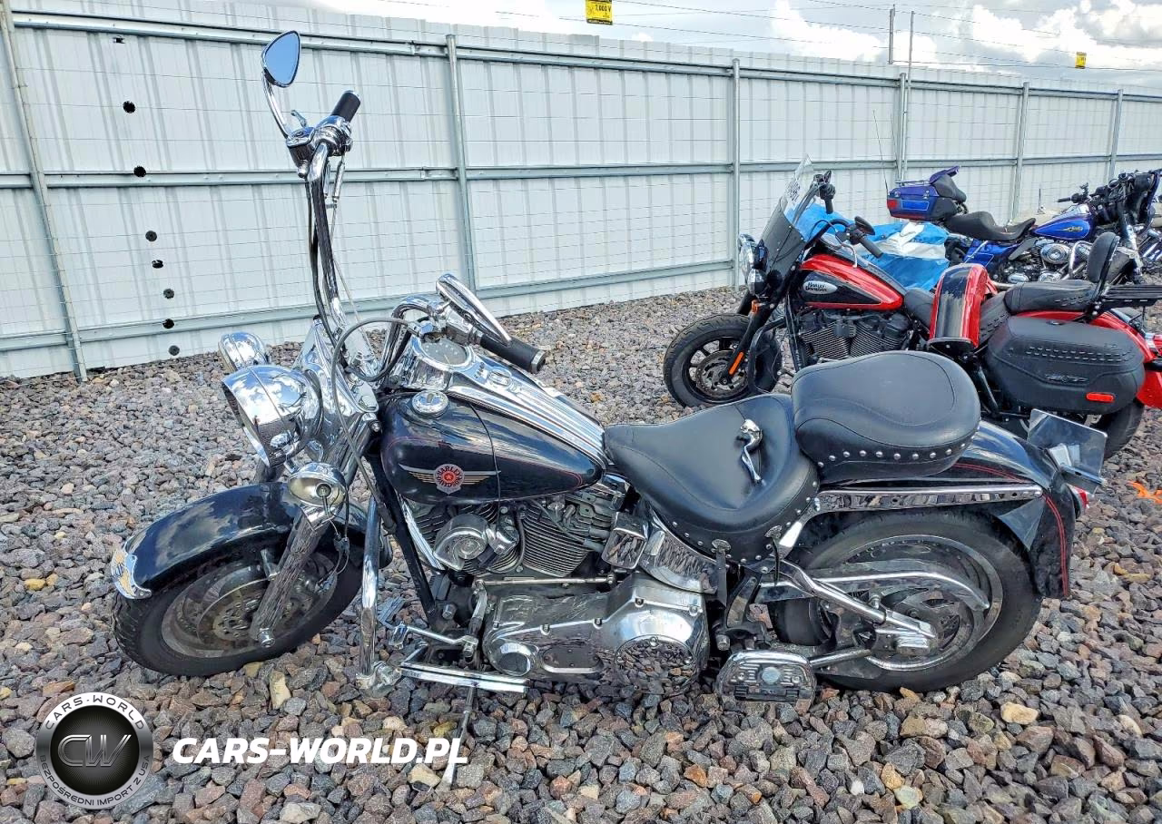 2000 Harley-Davidson Flstf VIN:1HD1BMY11YY064711 - 3