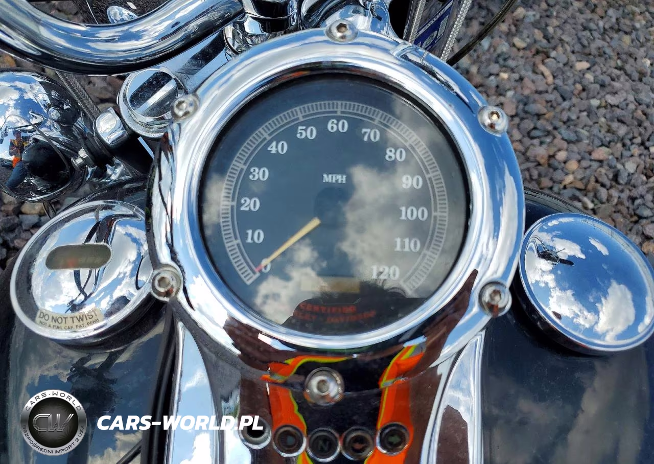 2000 Harley-Davidson Flstf VIN:1HD1BMY11YY064711 - 7