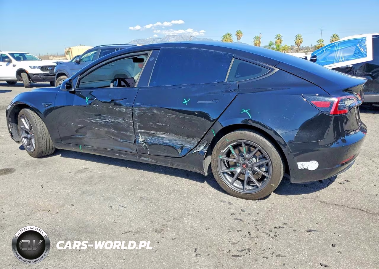 2021 Tesla Model 3 VIN:5YJ3E1EA7MF854397 - 2