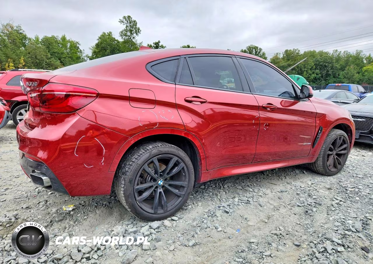 2018 BMW X6 xDrive35I VIN:5UXKU2C52J0X51066 - 3