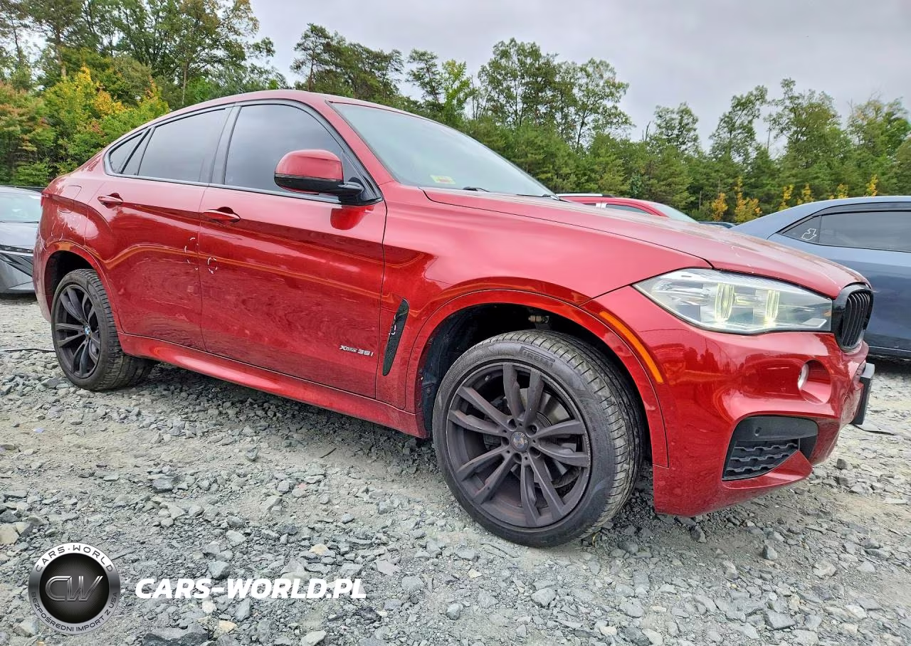 2018 BMW X6 xDrive35I VIN:5UXKU2C52J0X51066 - 4