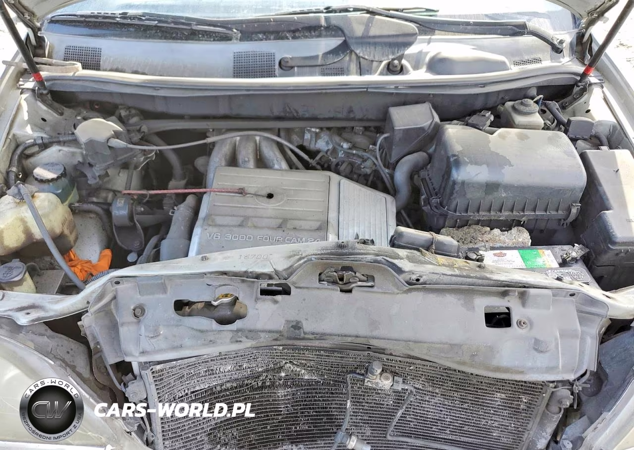 2000 Lexus Rx 300 VIN:JT6HF10U2Y0140340 - 12