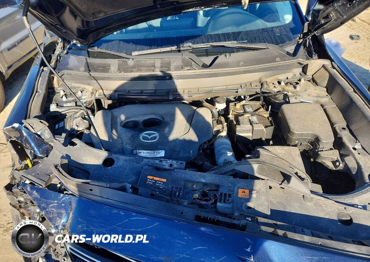 2019 Mazda Cx-9 Touring VIN:JM3TCBCY4K0332034 - 12
