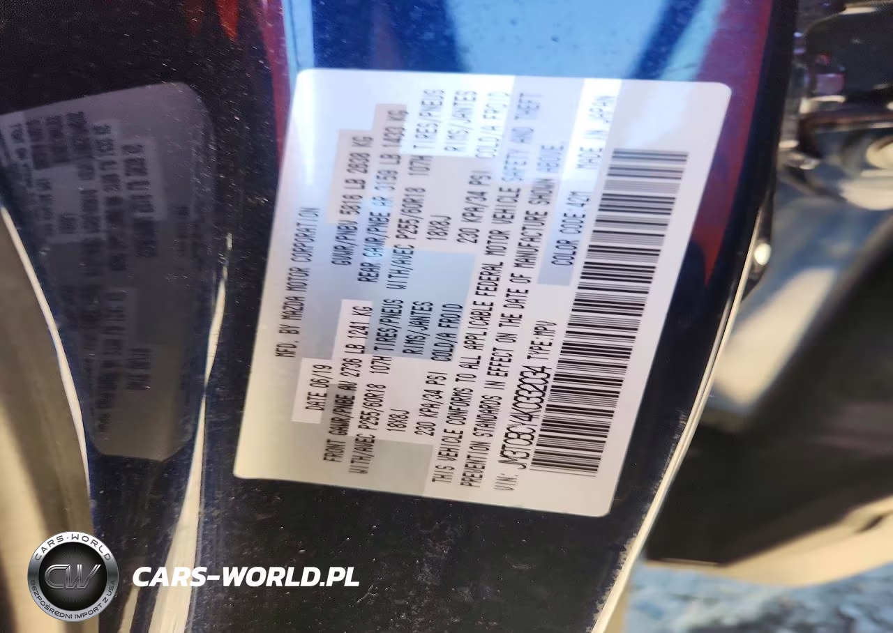 2019 Mazda Cx-9 Touring VIN:JM3TCBCY4K0332034 - 13