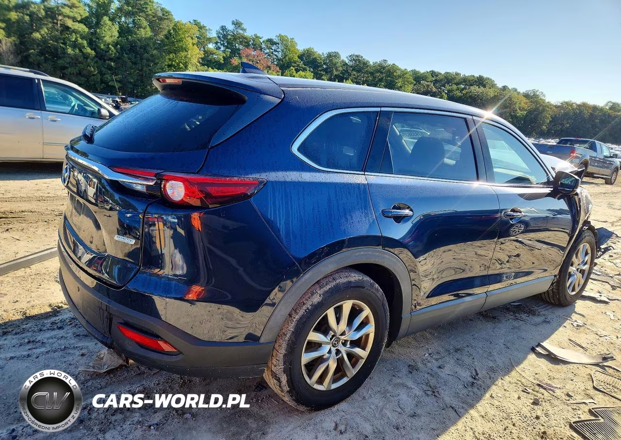 2019 Mazda Cx-9 Touring VIN:JM3TCBCY4K0332034 - 3