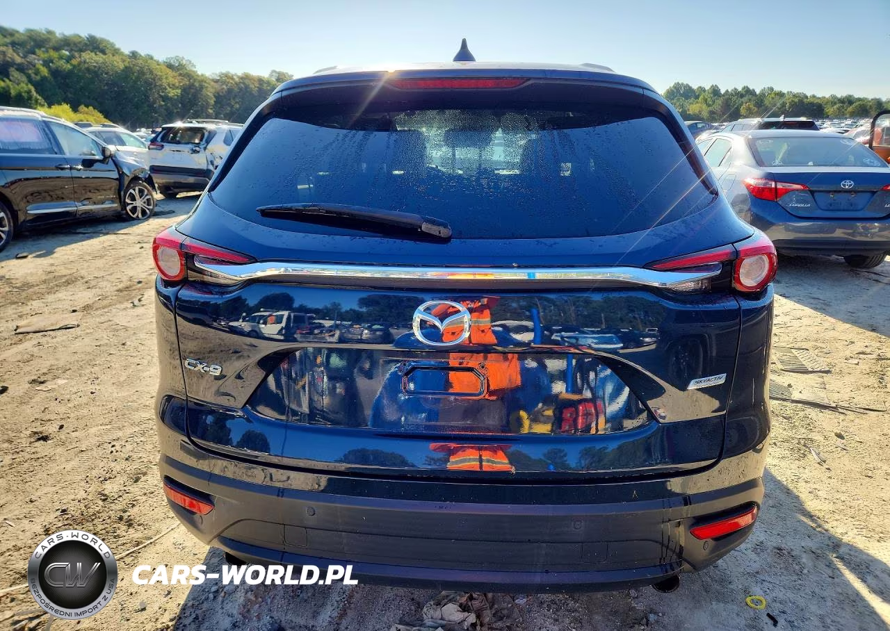 2019 Mazda Cx-9 Touring VIN:JM3TCBCY4K0332034 - 6