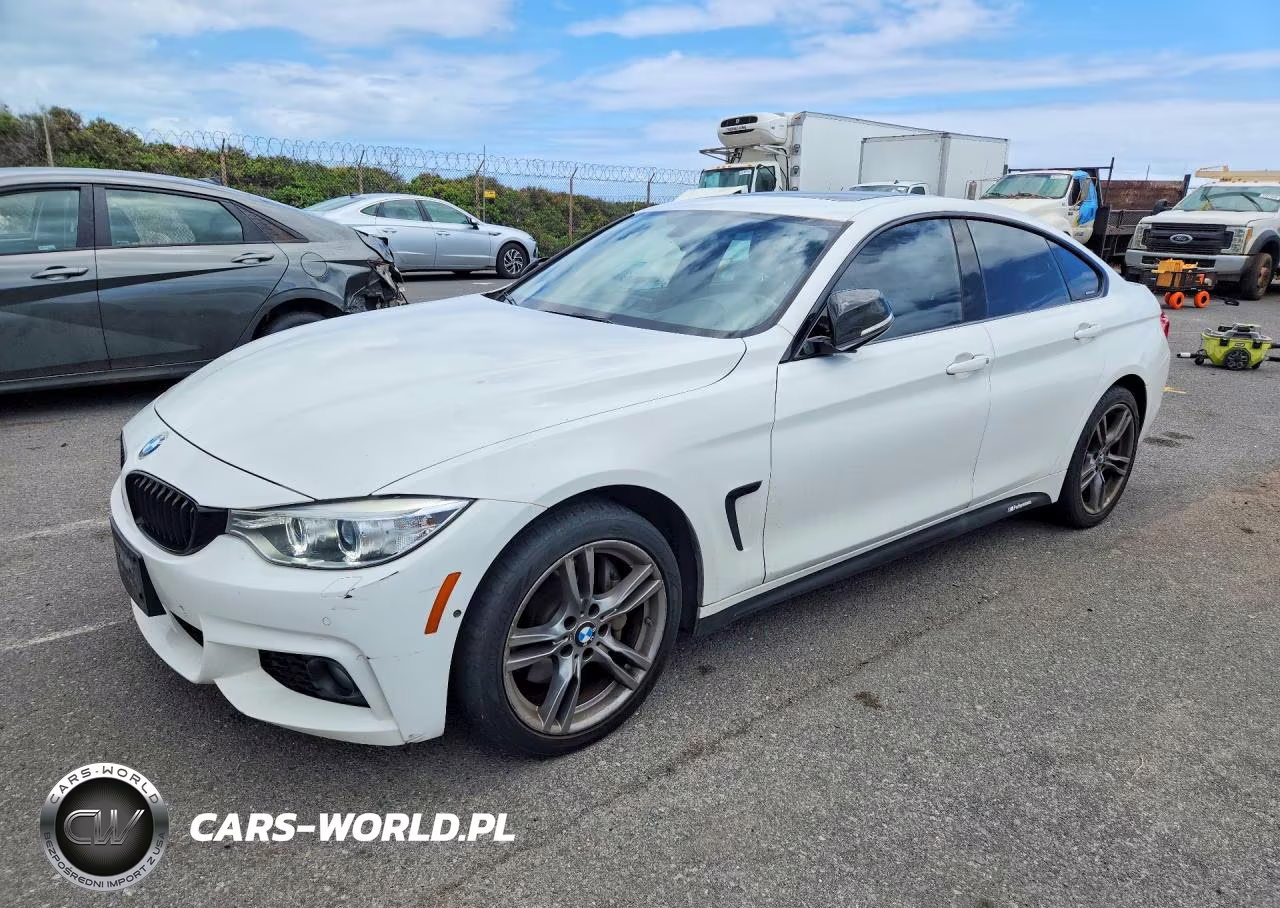 2016 BMW 435 Xi Gran Coupe VIN:WBA4B3C53GG344795 - 1
