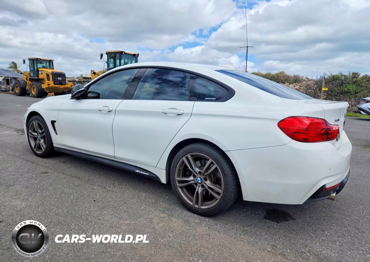 2016 BMW 435 Xi Gran Coupe VIN:WBA4B3C53GG344795 - 2