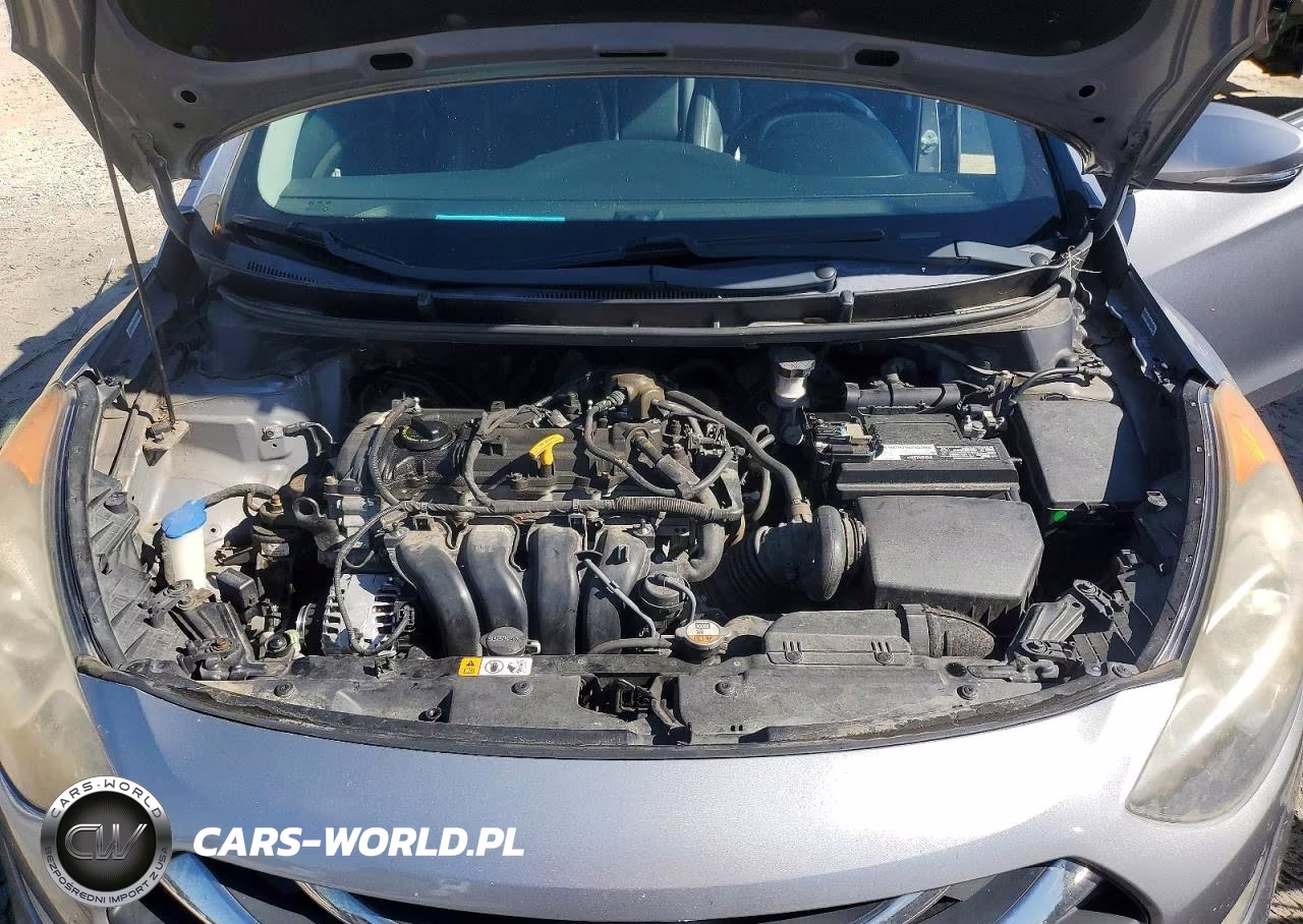 2014 Hyundai Elantra Gt Base VIN:KMHD35LH3EU171165 - 11