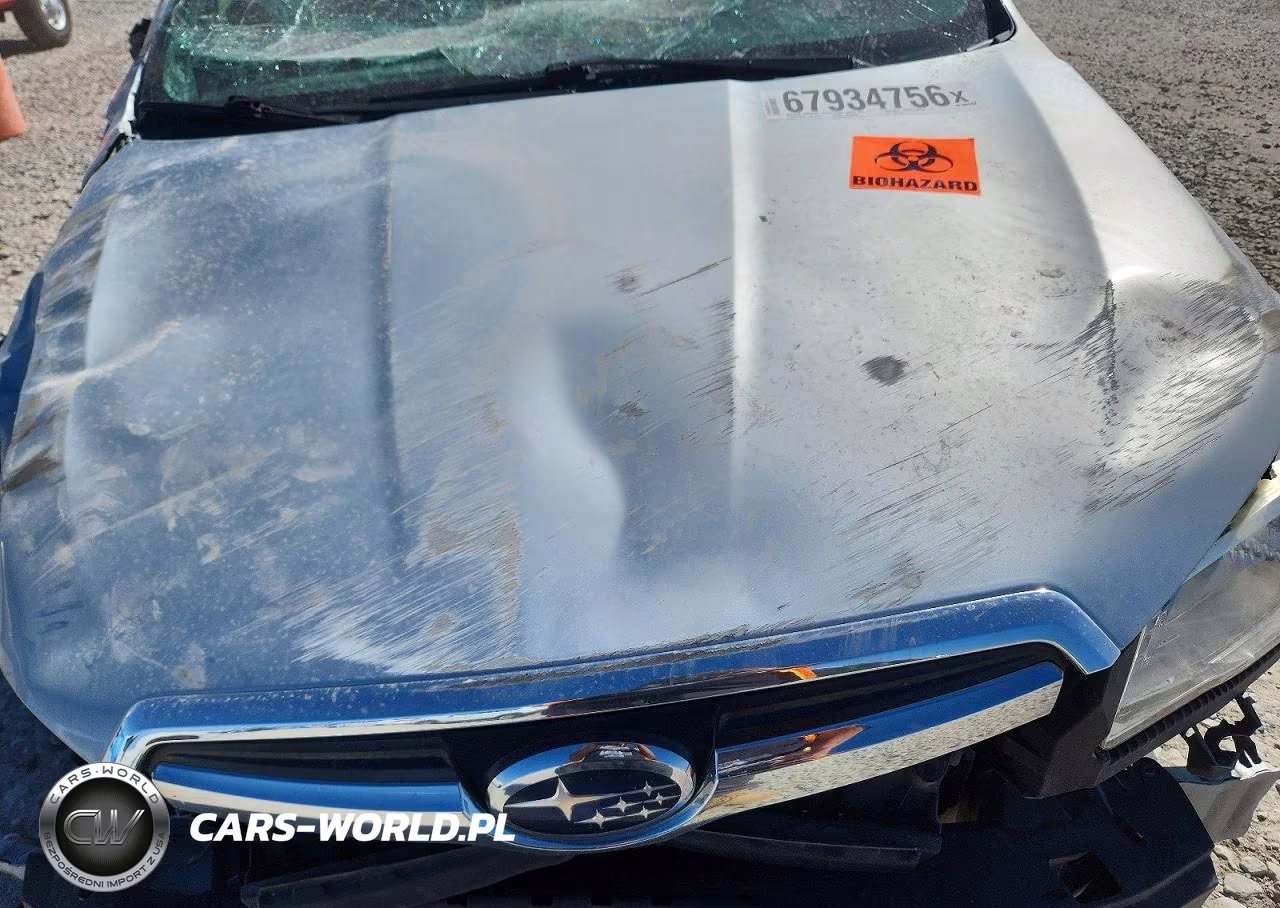 2016 Subaru Forester 2.5I Premium VIN:JF2SJADC8GH502753 - 11