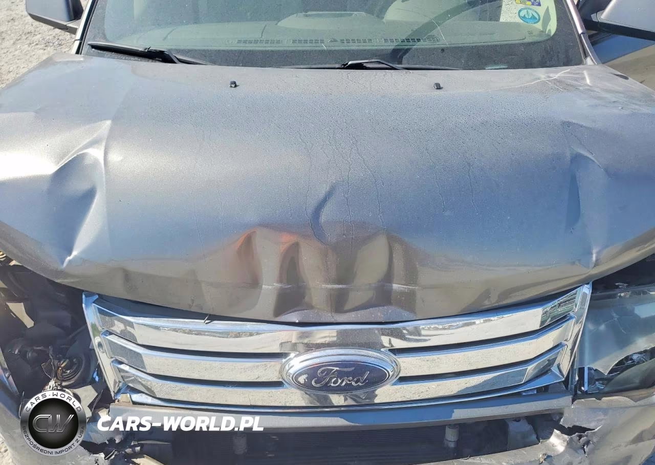 2009 Ford Edge Sel VIN:2FMDK38C49BA49821 - 12