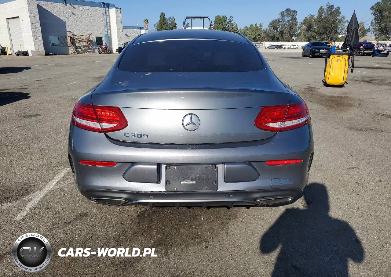 2017 Mercedes-Benz C 300 VIN:WDDWJ4JB5HF432869 - 6