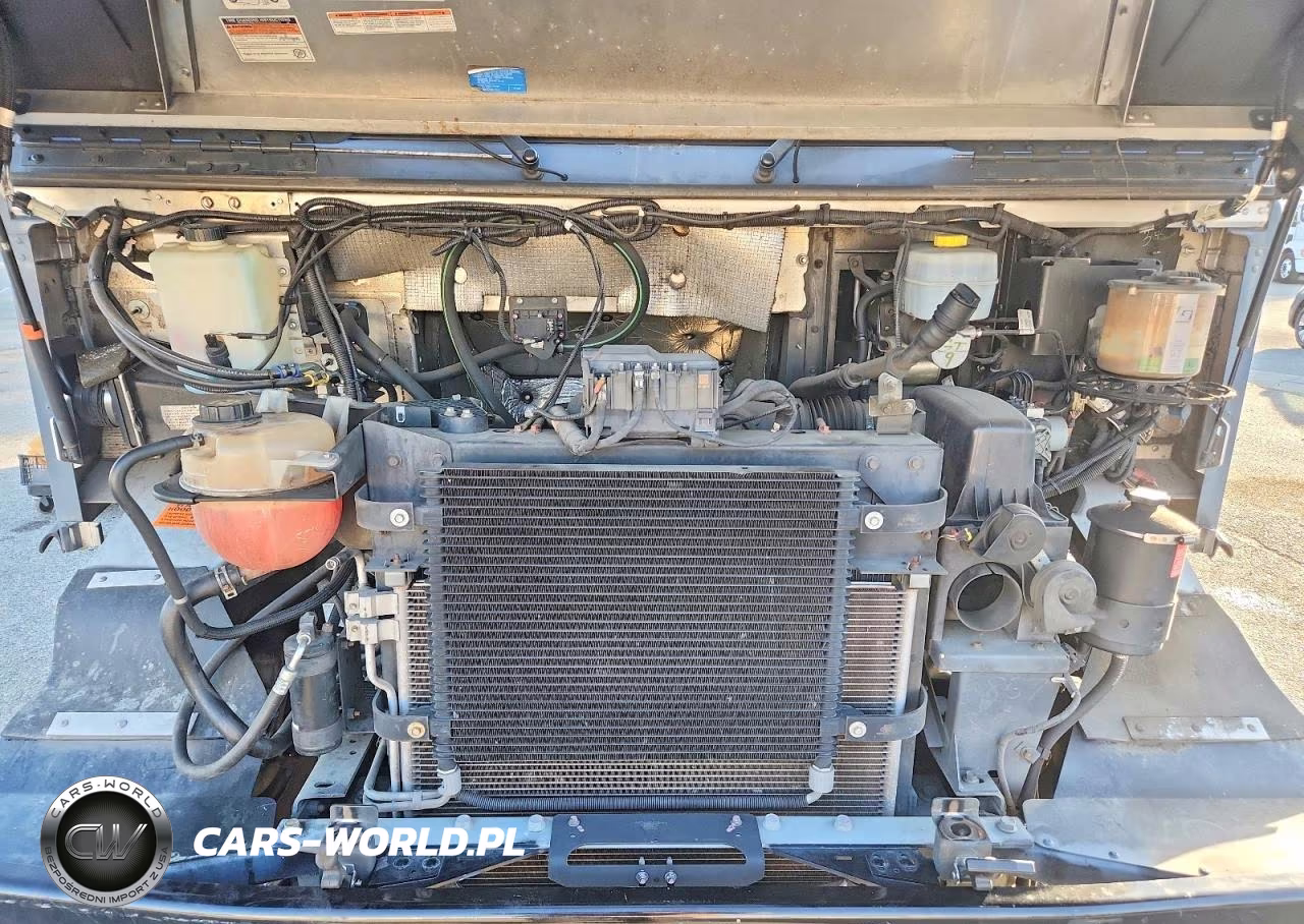 2020 Ford F59 Delivery Truck VIN:1F65F5KN5L0A05857 - 12