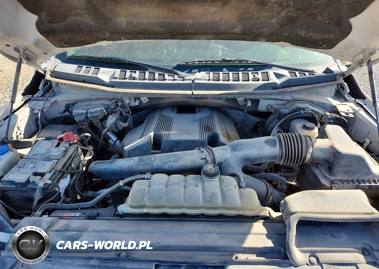 2019 Ford F150 Supercrew VIN:1FTFW1E49KKD20600 - 11