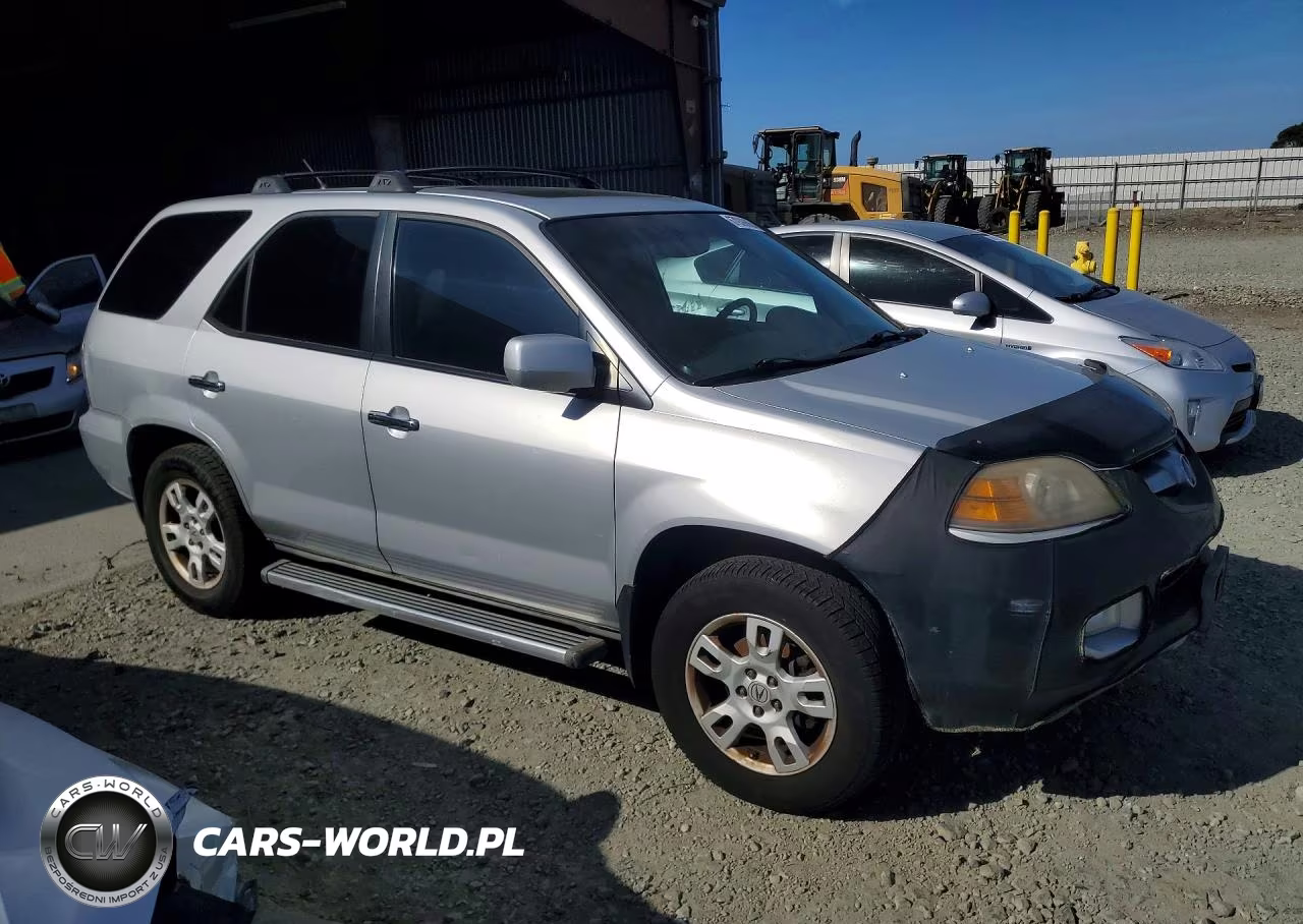 2004 Acura Mdx Touring VIN:2HNYD18814H556692 - 4