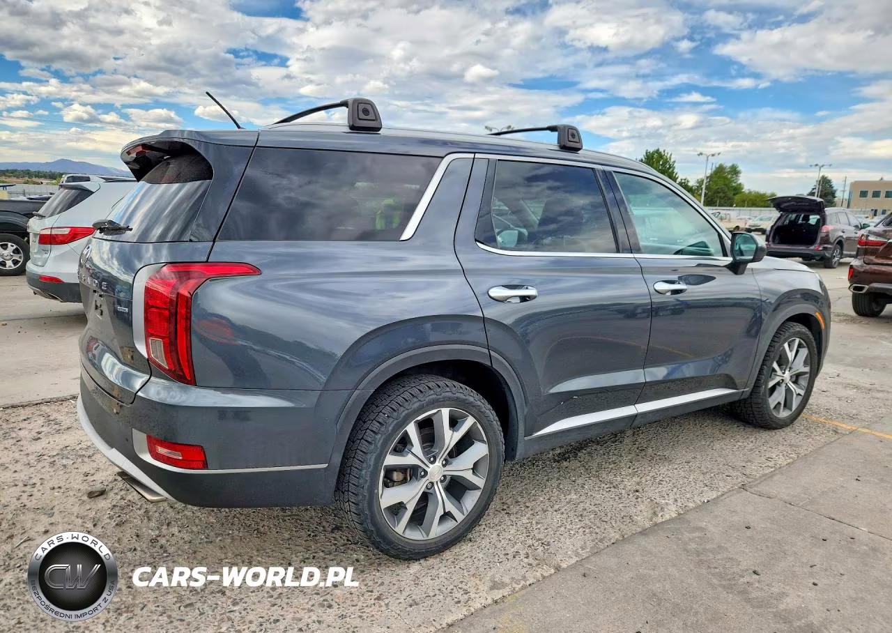 2020 Hyundai Palisade Sel VIN:KM8R4DHEXLU109707 - 3