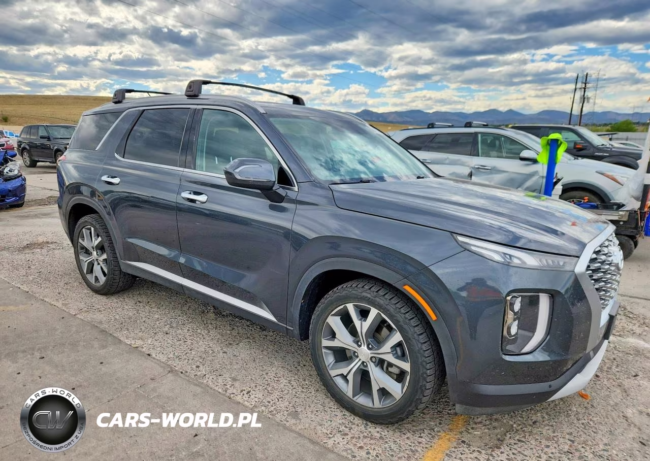 2020 Hyundai Palisade Sel VIN:KM8R4DHEXLU109707 - 4