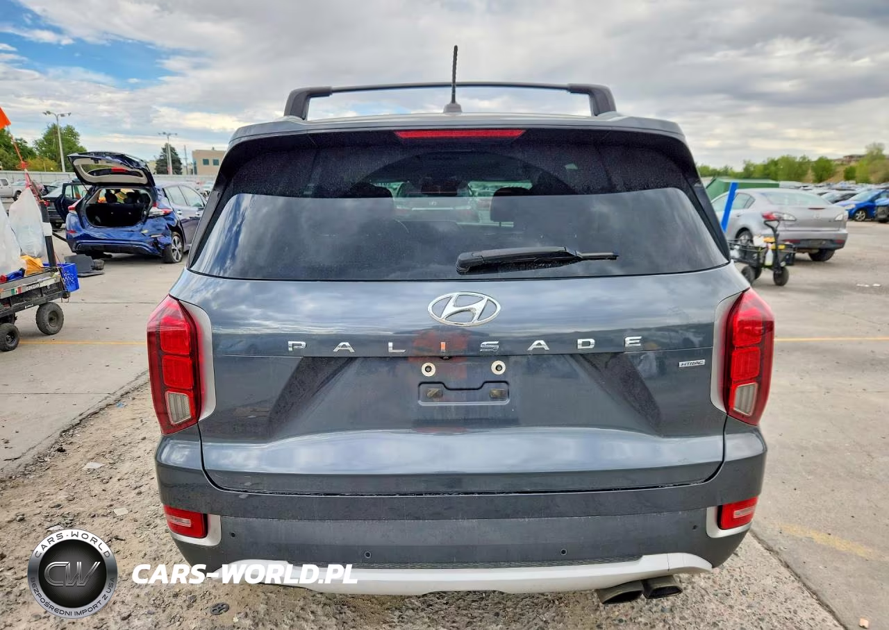 2020 Hyundai Palisade Sel VIN:KM8R4DHEXLU109707 - 6