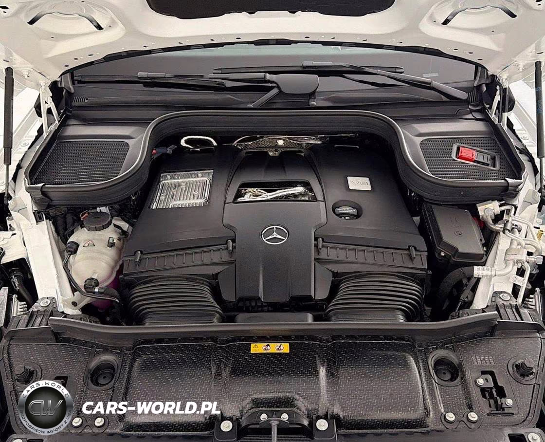 2025 Mercedes-Benz Gls 580 4Matic VIN:4JGFF8FE2SB301141 - 7