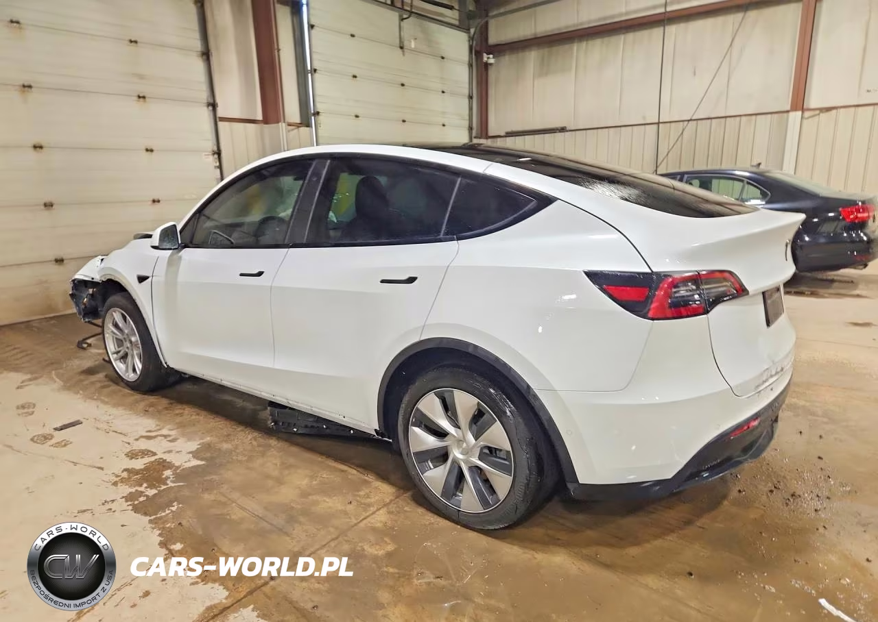 2021 Tesla Model Y VIN:5YJYGDEE2MF262703 - 2