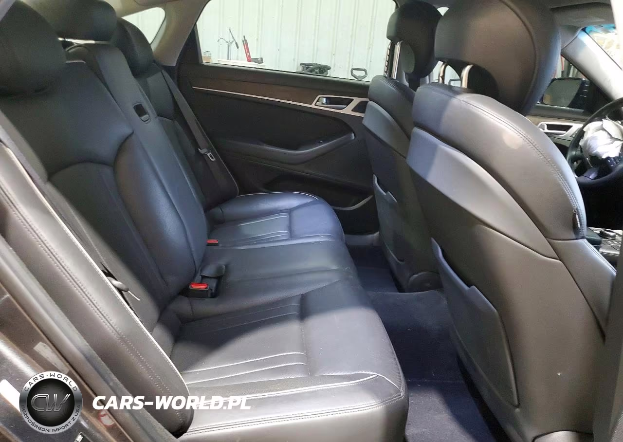 2017 Genesis G80 Ultimate VIN:KMHGN4JFXHU211085 - 10