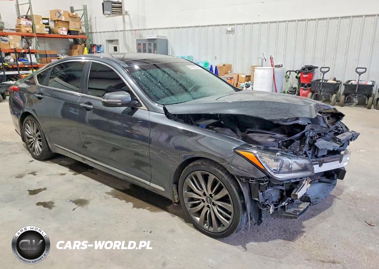 2017 Genesis G80 Ultimate VIN:KMHGN4JFXHU211085 - 4