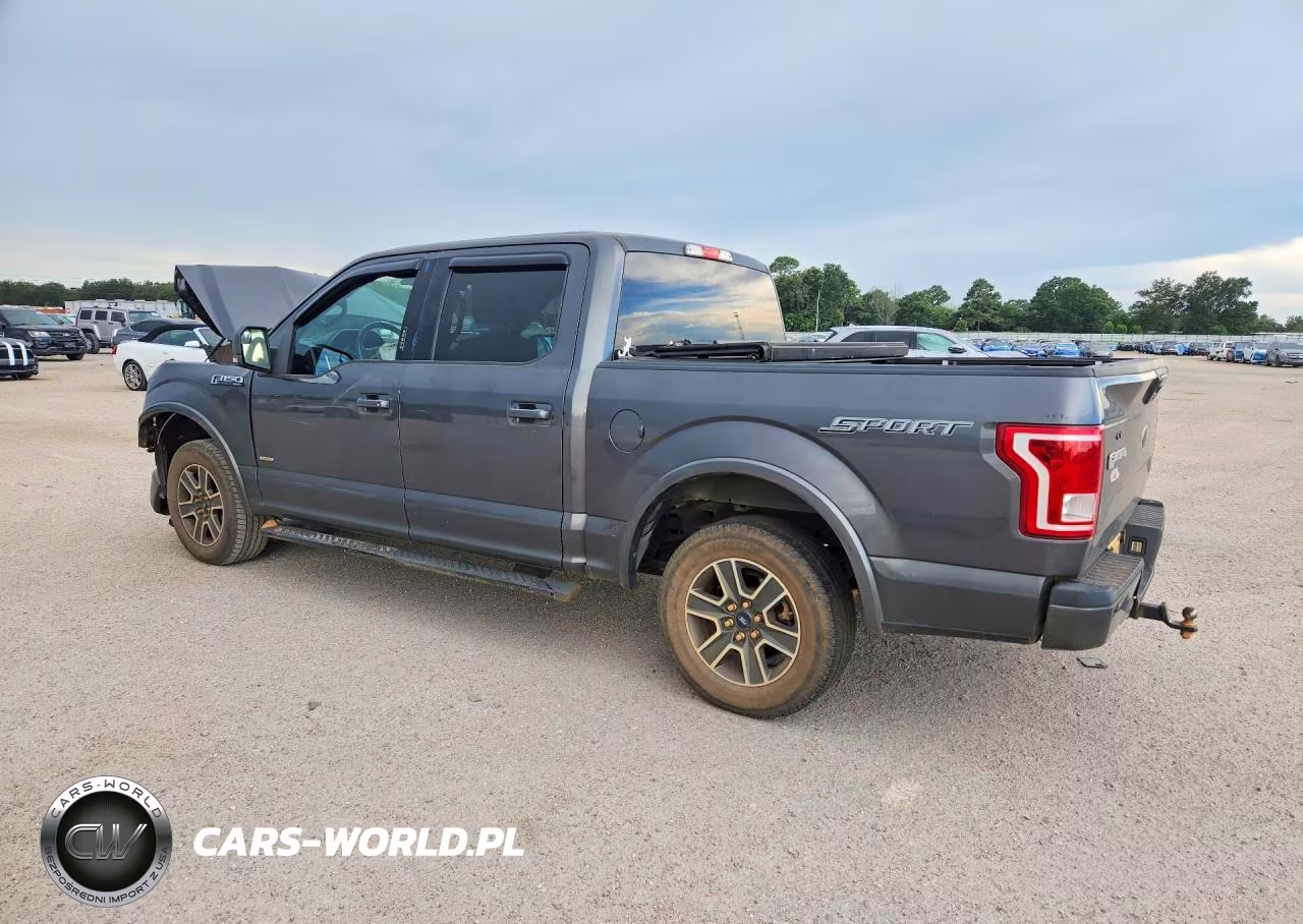 2015 Ford F150 Supercrew VIN:1FTEW1CP9FFC19046 - 2