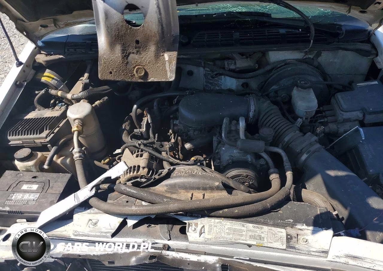 1999 Chevrolet S Truck VIN:1GCCS14X4X8100828 - 11