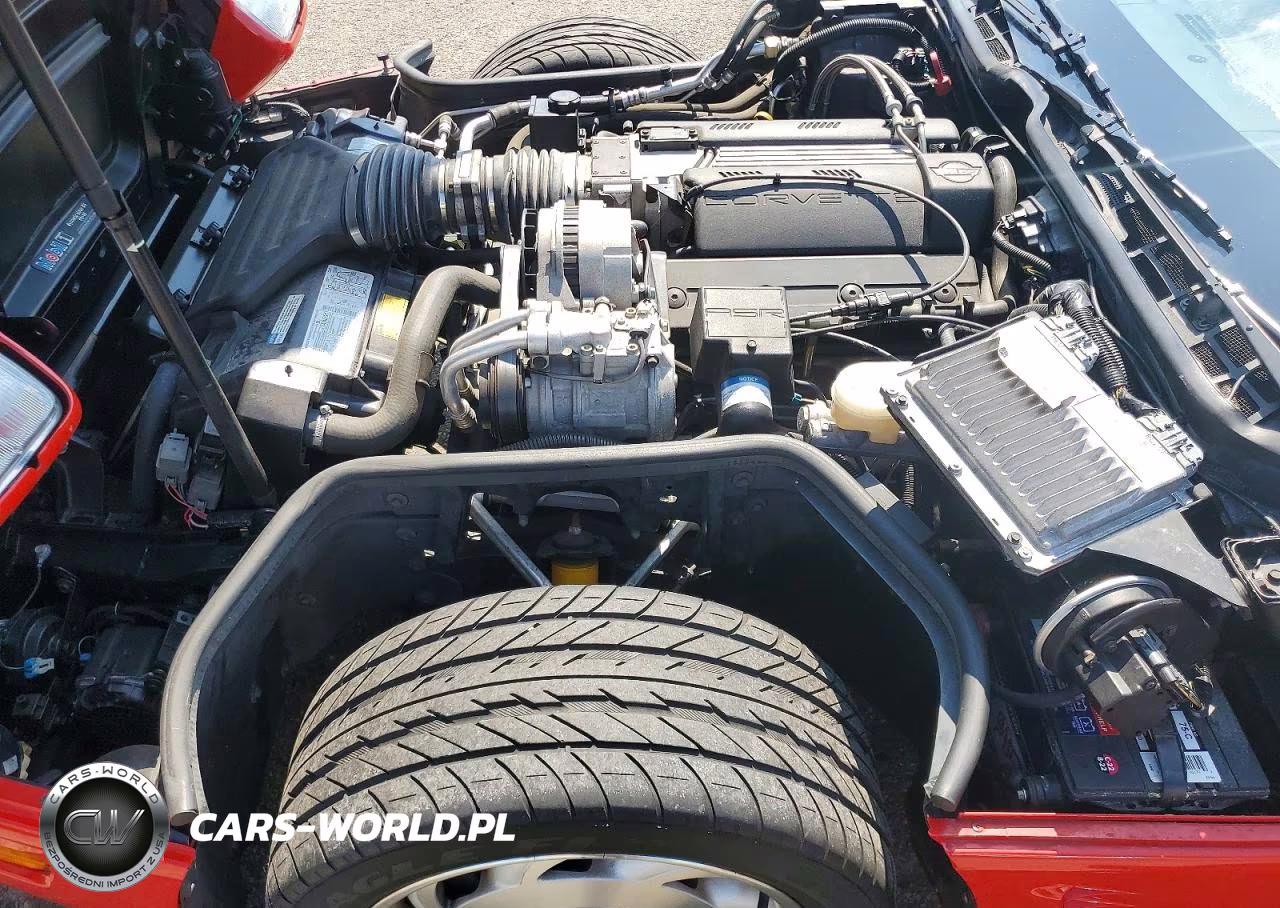 1996 Chevrolet Corvette VIN:1G1YY32P9T5100122 - 11