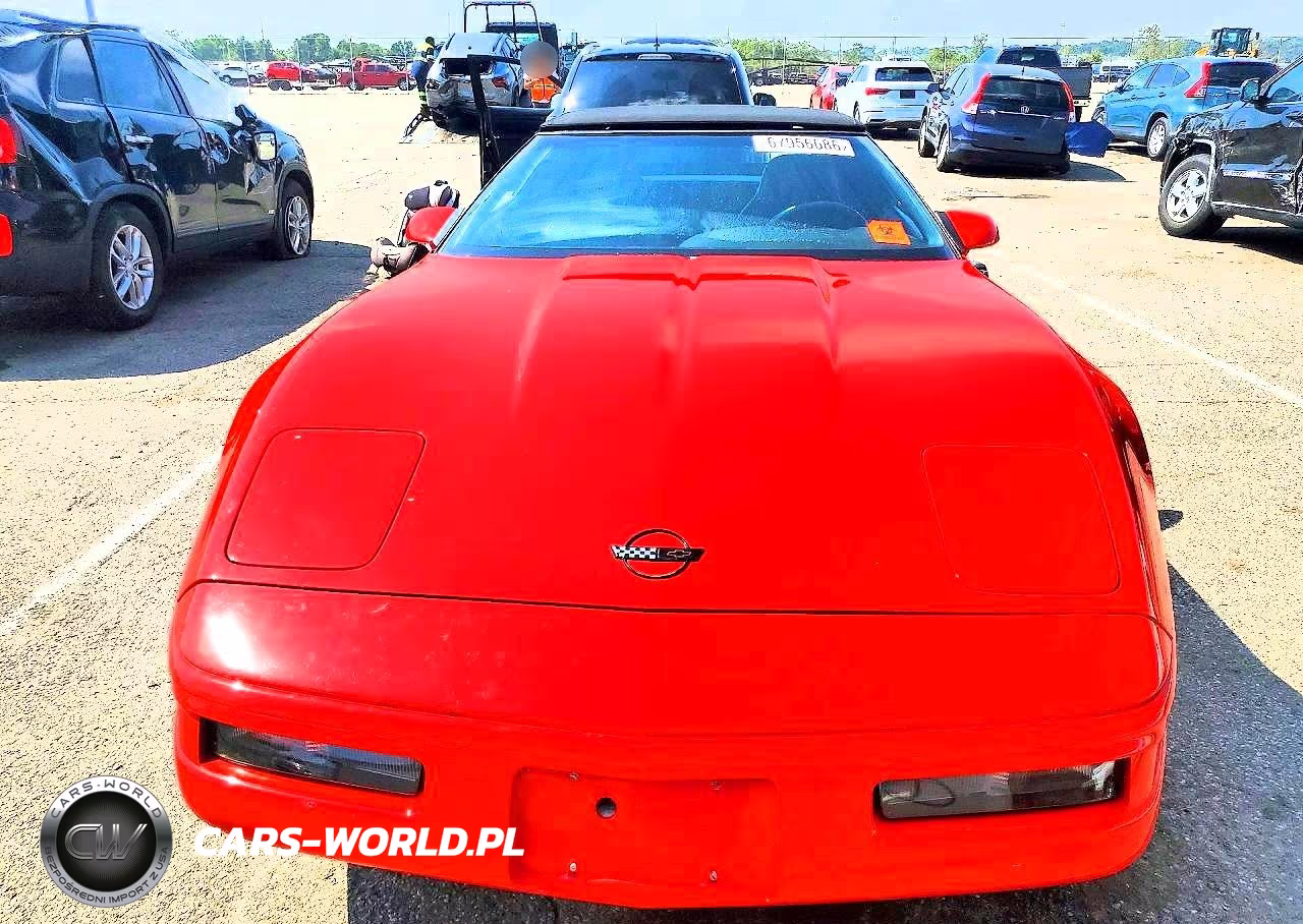 1996 Chevrolet Corvette VIN:1G1YY32P9T5100122 - 5