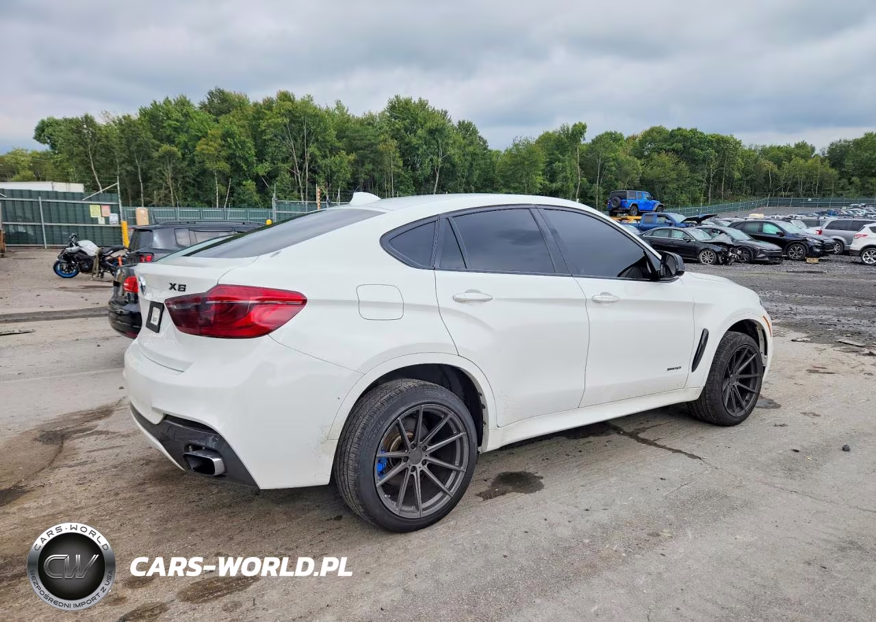 2018 BMW X6 xDrive50I VIN:5UXKU6C51J0W38782 - 3