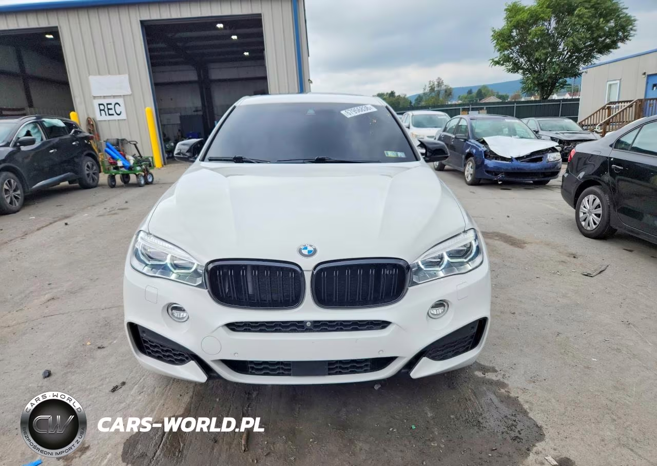 2018 BMW X6 xDrive50I VIN:5UXKU6C51J0W38782 - 5