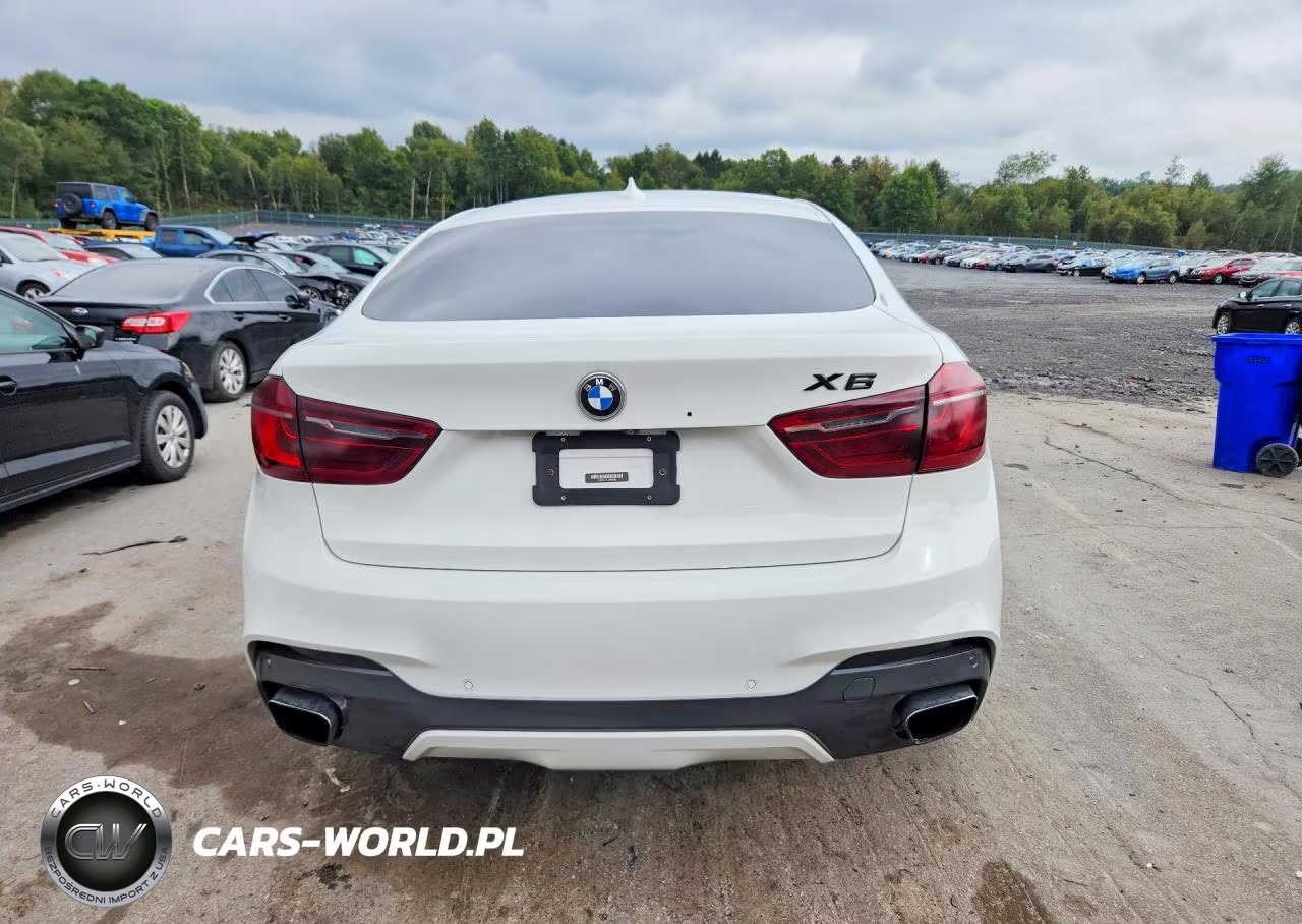 2018 BMW X6 xDrive50I VIN:5UXKU6C51J0W38782 - 6