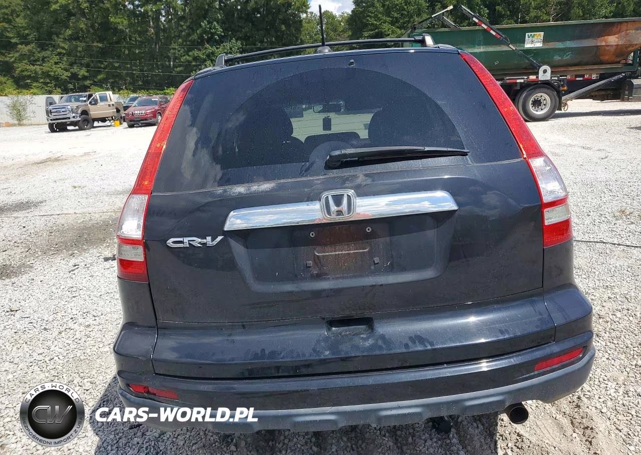 2010 Honda Cr-V Exl VIN:5J6RE3H75AL036451 - 6