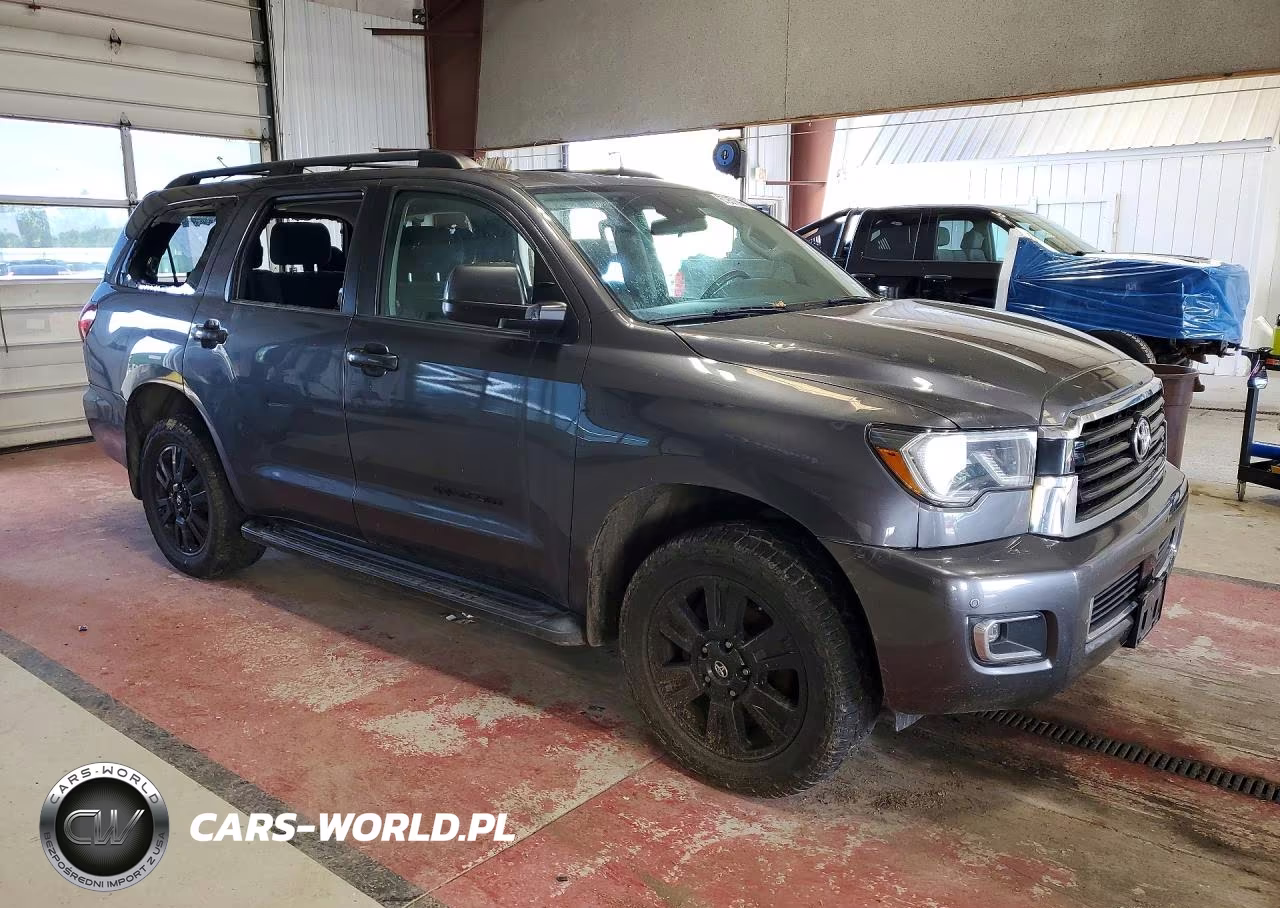 2018 Toyota Sequoia Trd Sport VIN:5TDBY5G1XJS157899 - 4