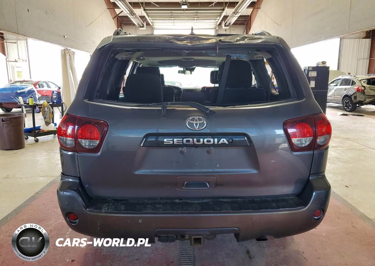 2018 Toyota Sequoia Trd Sport VIN:5TDBY5G1XJS157899 - 6