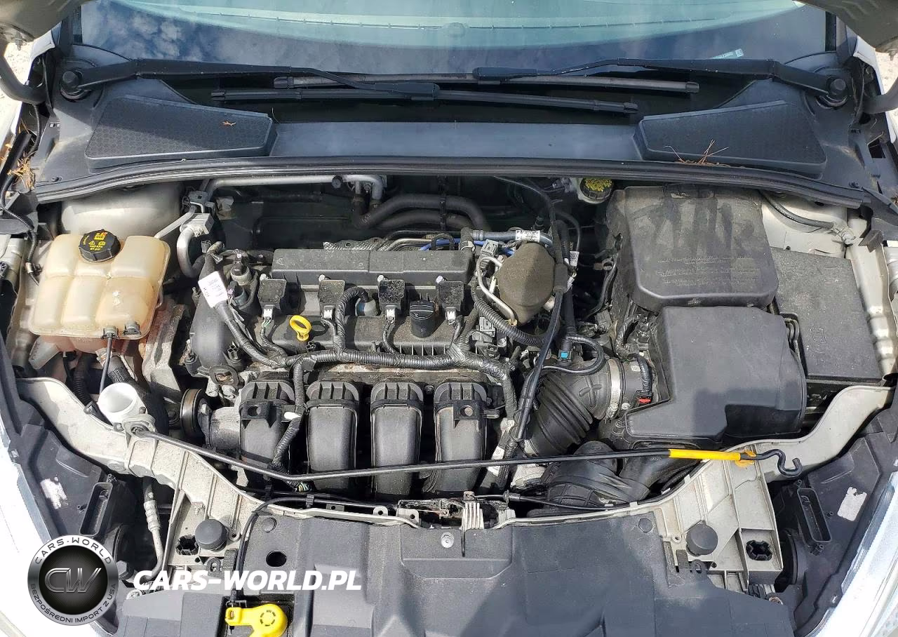 2016 Ford Focus Se VIN:1FADP3F25GL239985 - 11
