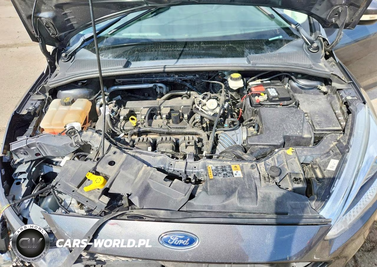 2017 Ford Focus Se VIN:1FADP3F21HL229388 - 11