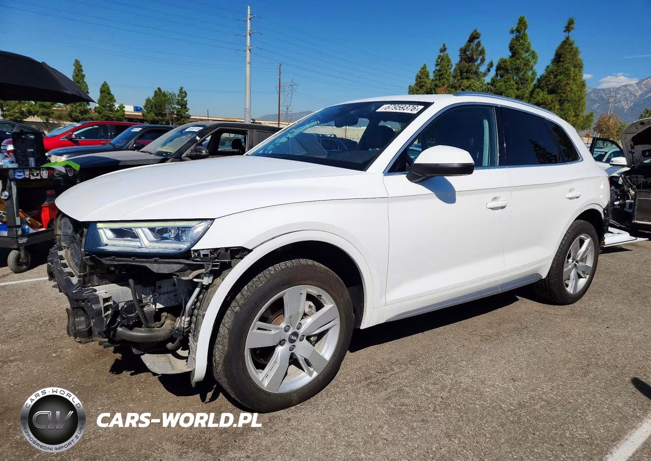 2019 Audi Q5 Premium Plus VIN:WA1BNAFY6K2138916 - 1