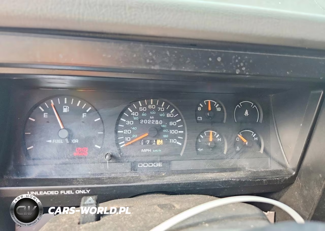 1996 Dodge Dakota VIN:1B7FL26P6TS641700 - 9