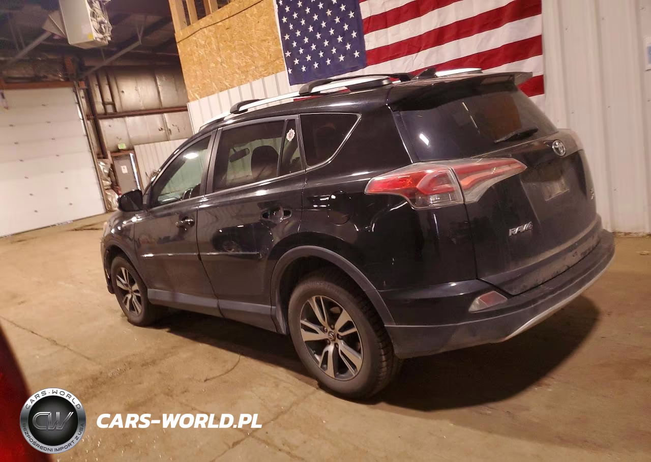2016 Toyota Rav4 Xle VIN:2T3RFREV1GW425666 - 2