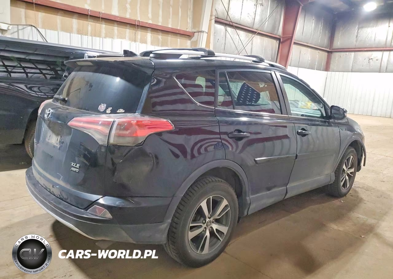 2016 Toyota Rav4 Xle VIN:2T3RFREV1GW425666 - 3