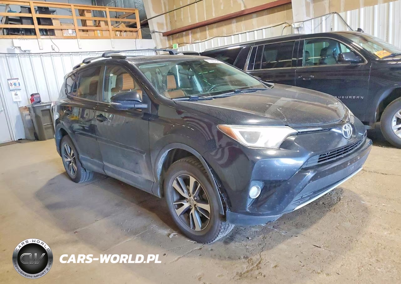 2016 Toyota Rav4 Xle VIN:2T3RFREV1GW425666 - 4