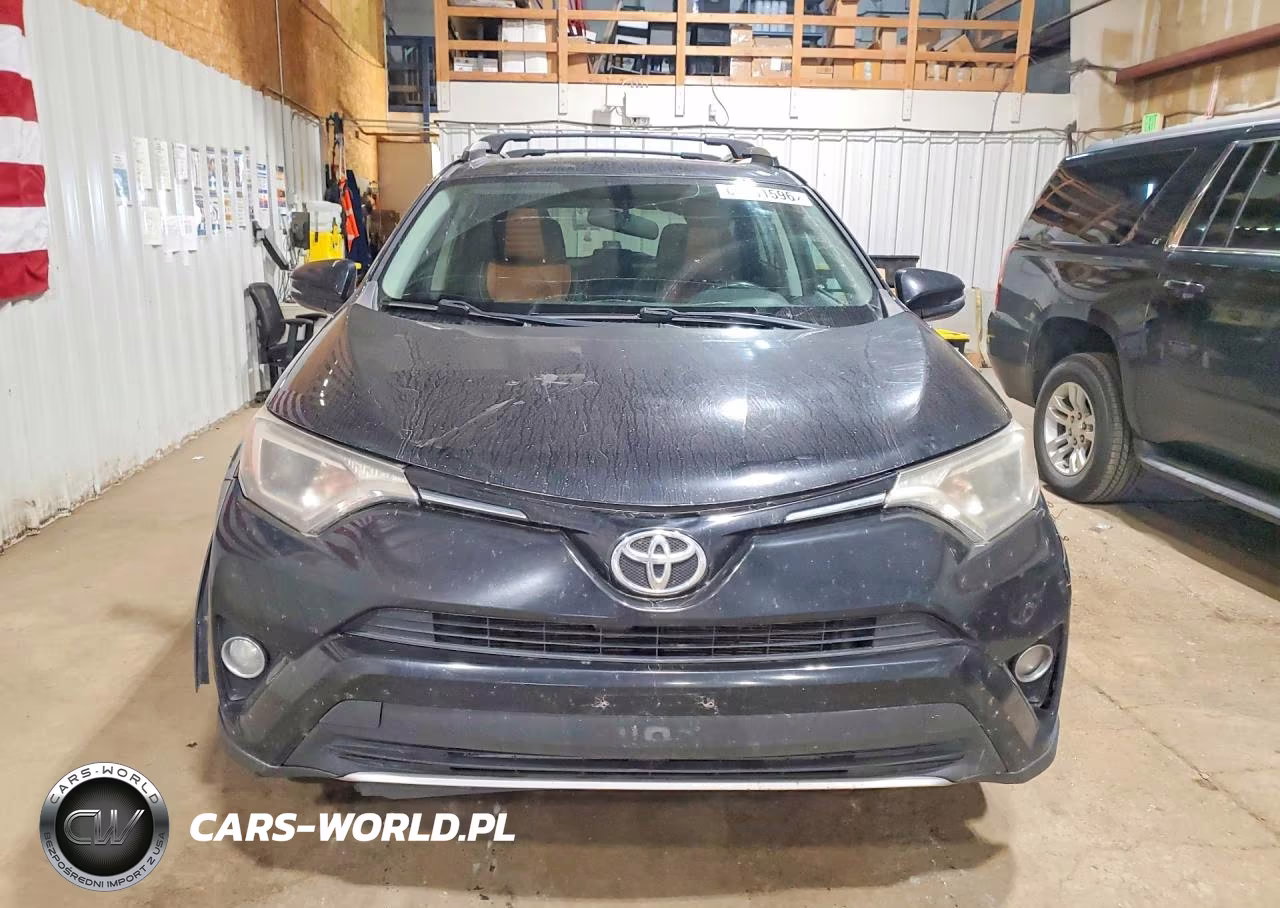 2016 Toyota Rav4 Xle VIN:2T3RFREV1GW425666 - 5