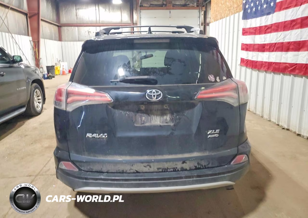 2016 Toyota Rav4 Xle VIN:2T3RFREV1GW425666 - 6
