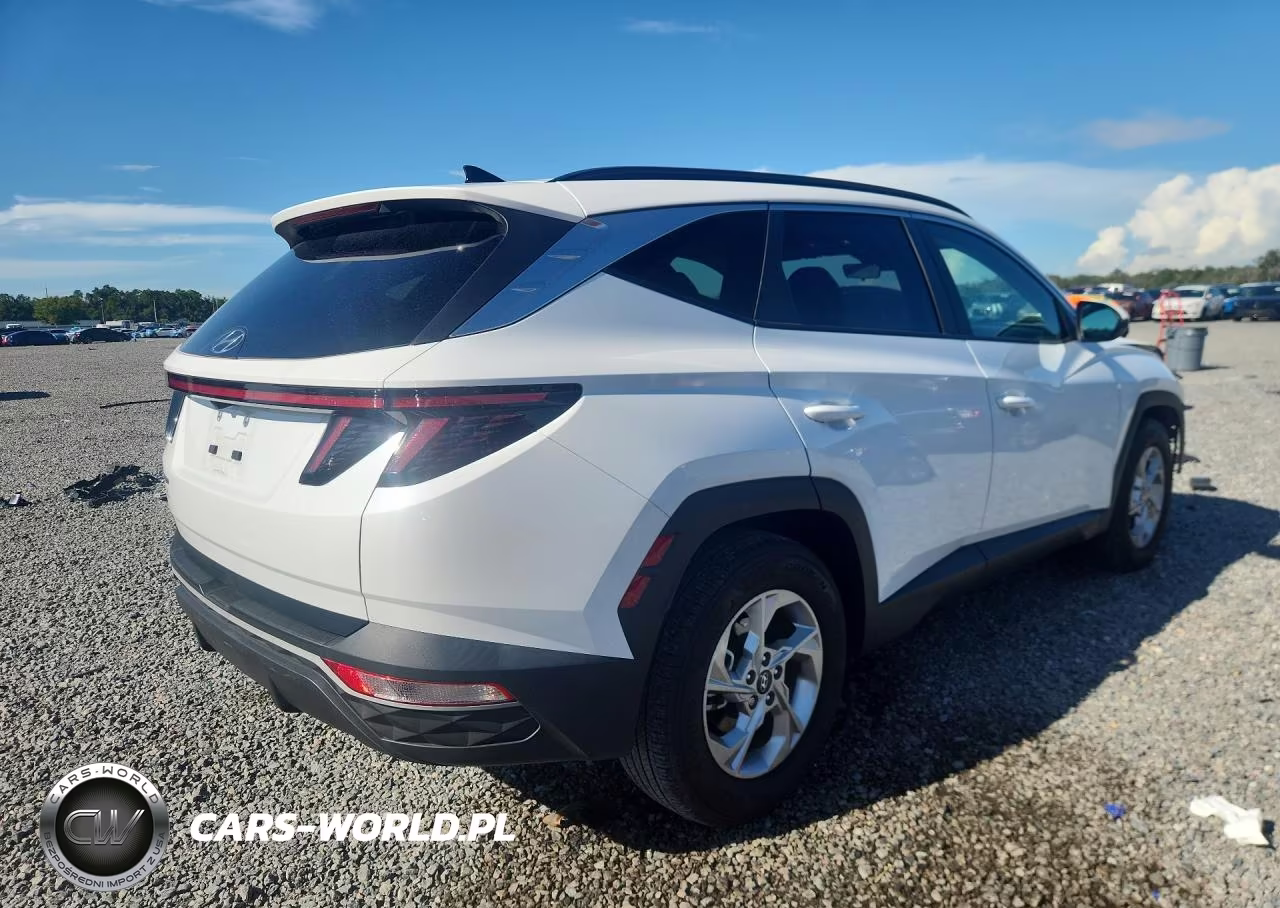 2023 Hyundai Tucson Sel VIN:5NMJB3AE7PH230672 - 3