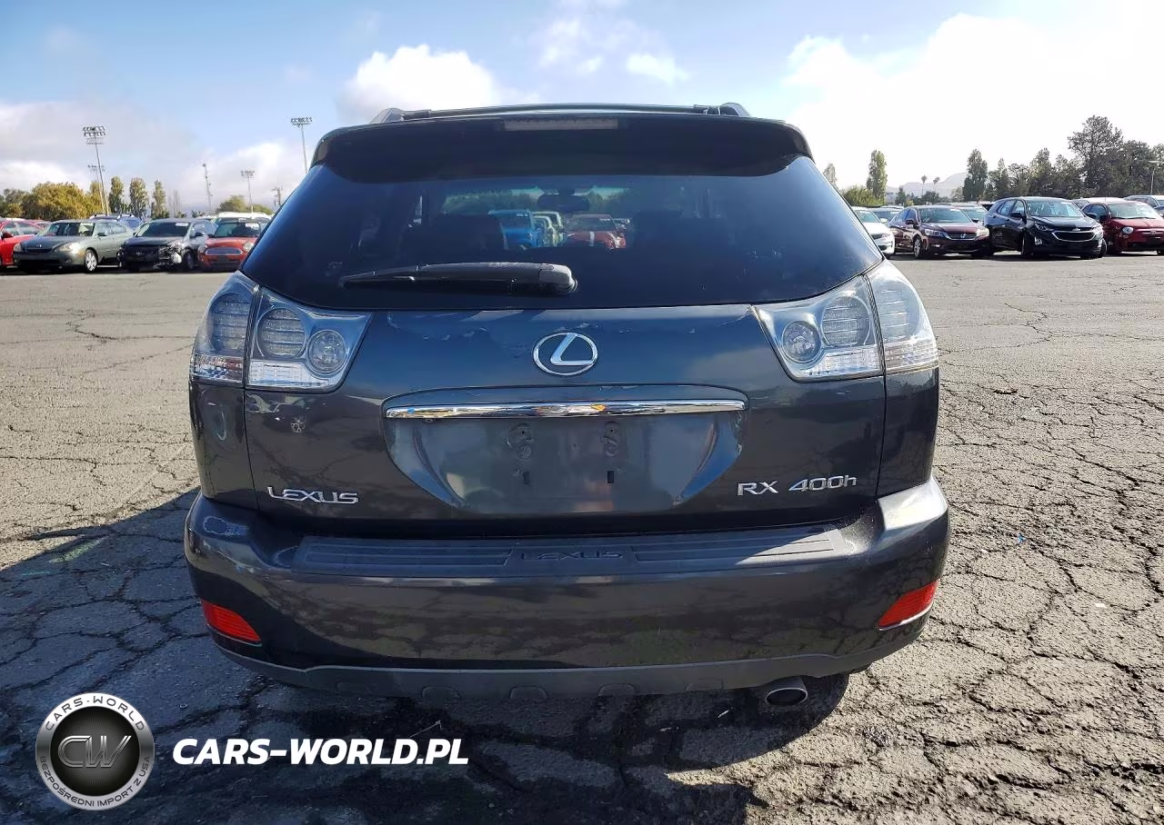 2006 Lexus Rx 400 VIN:JTJHW31U662006853 - 6