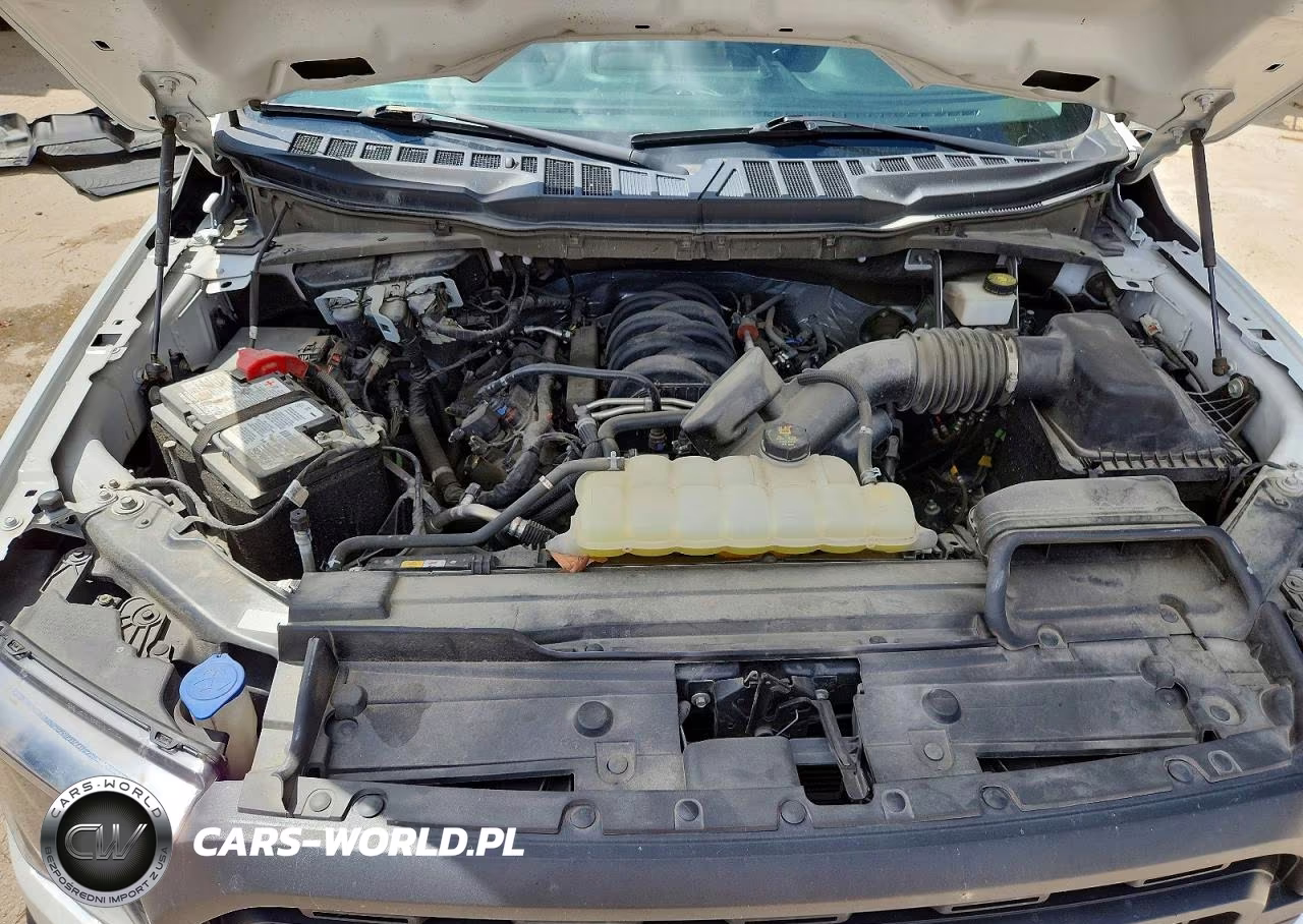 2023 Ford F150 Supercrew VIN:1FTFW1E54PKG00361 - 11